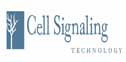 cell signaling