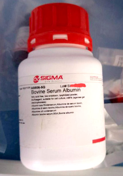 bovine serum albumin fatty acid free |无脂肪酸牛血清白蛋白bsa